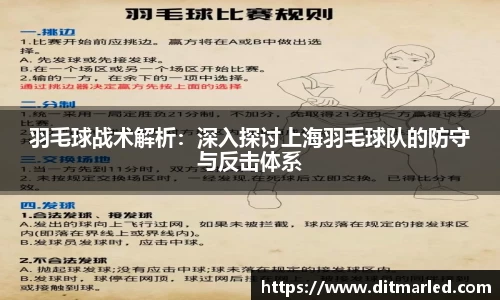 羽毛球战术解析：深入探讨上海羽毛球队的防守与反击体系